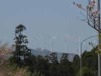 ���h�ɂ��͂�E�C���h�t�@�[���i�F�{�����h�S�������j/10��