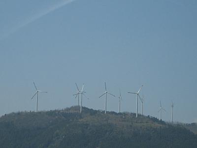 ���h�ɂ��͂�E�C���h�t�@�[���i�F�{�����h�S�������j/10��