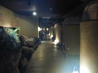 room No.107�֑����ꉮ�L��