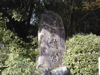 �����_��