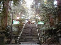 �����_��