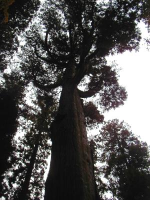 ������/��{���i�v�w���j