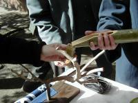 �����ێ�