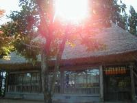 �_�y�h�i�������ǁj