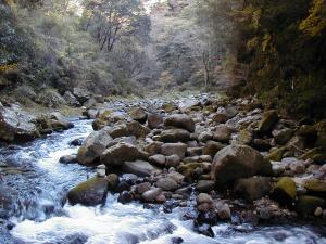 �V��ː_�ЁE�V���V�͌�