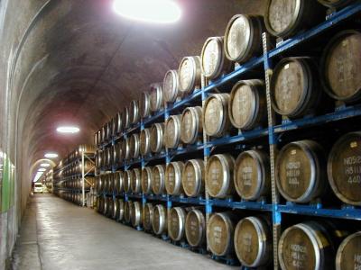 �g���l���̉w