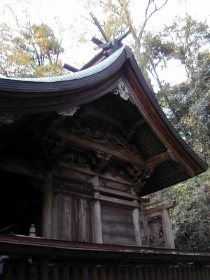 �����ӂ�_��