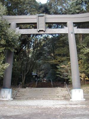 �����ӂ�_��