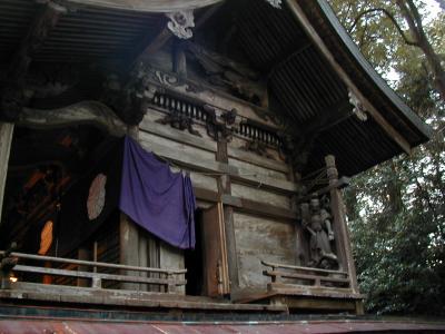 �����_��