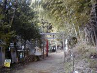 �����d�_��