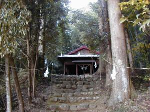 �����d�_��