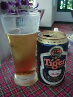 Tiger Beer @J{WAA^CXg