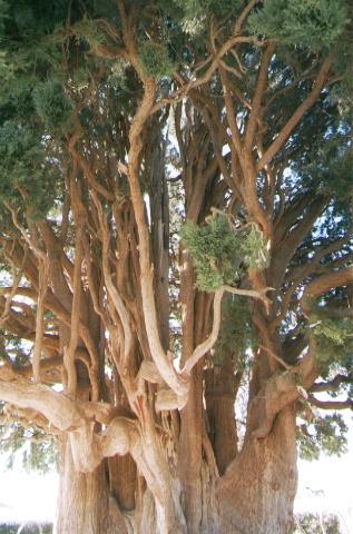 ���s���^�E�E�E(o^^o)