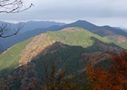 雨沢山に陽が射した