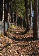 �������߂�