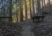 ��{�����ɓ���