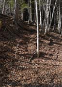 �郖�����ւ̓o�R�������H