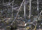 ���o�R�������̃e�[�v�H