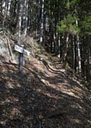 ���R�X�Y������