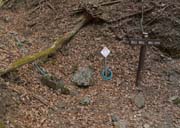 ��t���̐���