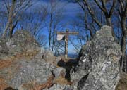 �������R�ɂ�