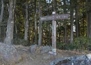 ������m��