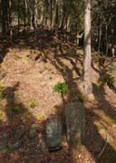 ���n���l