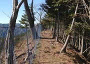 ����z���ɓW�]