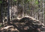 �V��n����