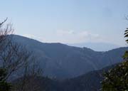 �x�m�R�͔��_�̒�