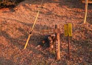 �ޗǖ{���n�̗���