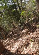 �؉���ւ̘H��