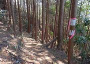 ����₷�����ȘH