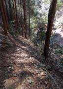 �����ő���