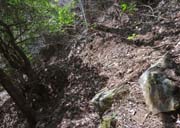 �����̓��[�v��