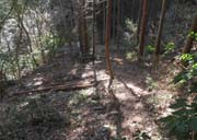 �؉���ѓ��������Ă���