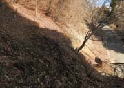 �K�i���g���Ȃ���