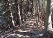 �瑫���𒼐i