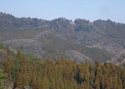 �����R�̉��]�|���˓�����