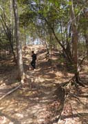 ��R�����ǎ苭��