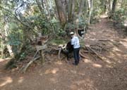 �l�҂ɓ���